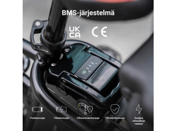 Green Cell ® Akku für Elektrofahrräder e-Bike 24V 10.4Ah 250Wh